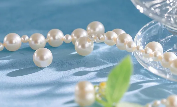 Freshwater Pearl Wholesale Business Intelligence: 7 Trends in Global Consumer Demand for Pearls, Seize the Opportunity! 7 Freshwater Pearl Wholesale