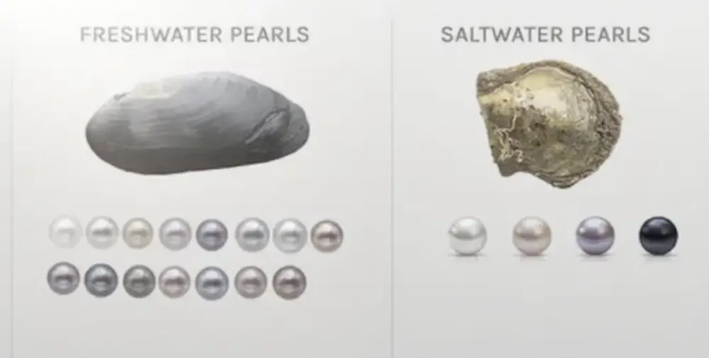 What Are Pearls Worth: The Ultimate 7-Factor Guide to Maximize Your Pearl Investment