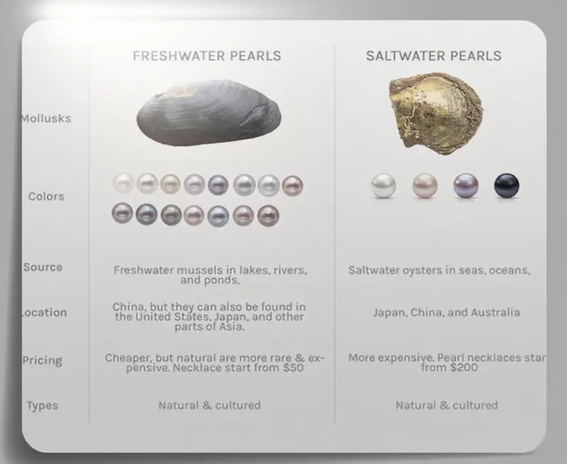 Saltwater vs. Freshwater Pearls