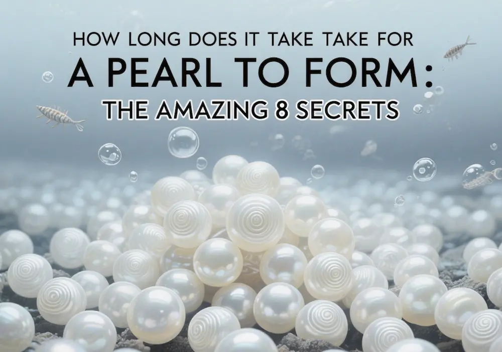 How Long Does It Take for a Pearl to Form: The Amazing 8 Secrets 1 How Long Does It Take for a Pearl to Form: The Amazing 8 Secrets