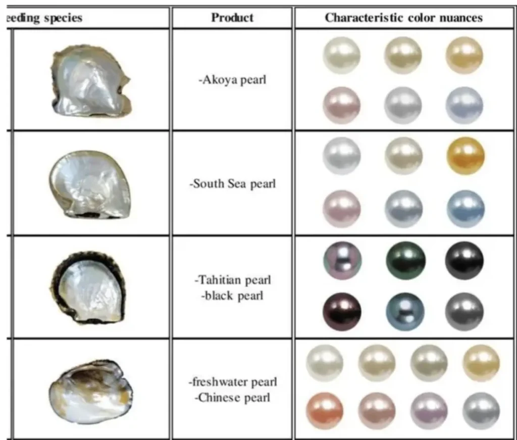 Freshwater vs Saltwater Pearls: 7 Amazing Differences 2 Freshwater vs Saltwater Pearls: 7 Amazing Differences That Will Transform Your Pearl Shopping Experience