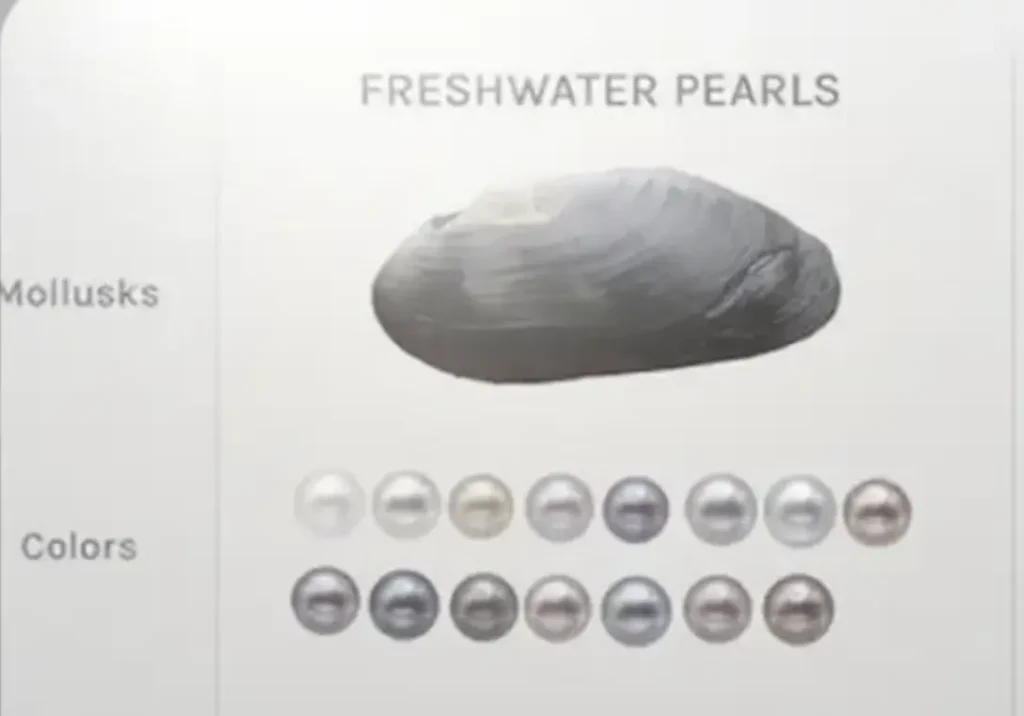 How to Choose High Quality Freshwater Pearls: 5 Critical Quality Factors 7 How to Choose High Quality Freshwater Pearls: 5 Critical Quality Factors