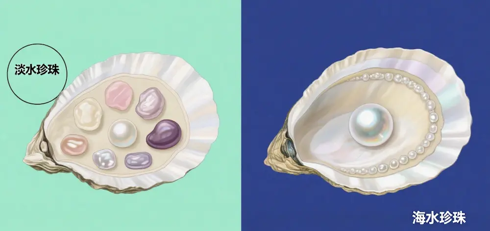 Freshwater vs Saltwater Pearls: 7 Amazing Differences 1 Freshwater vs Saltwater Pearls: 7 Amazing Differences That Will Transform Your Pearl Shopping Experience