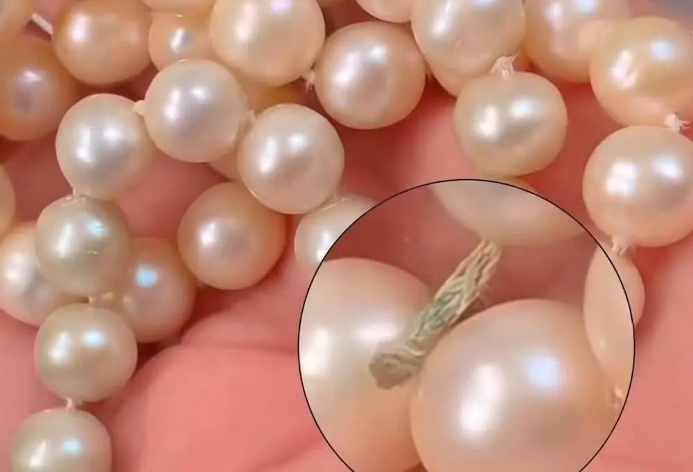 Macro-inspection Pearls