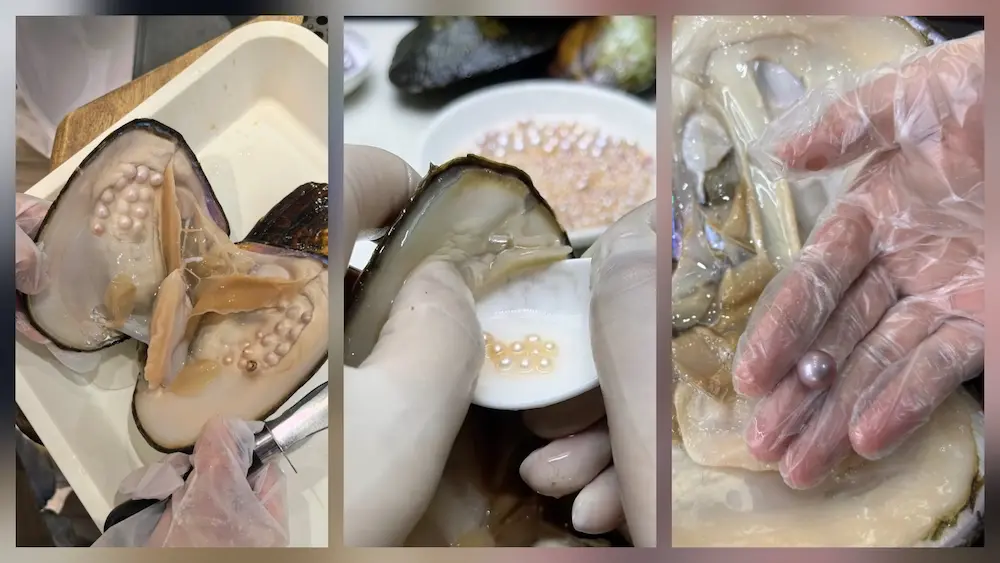 Cultured Freshwater Pearls Wholesale: The Complete Bulk Buying Guide for Jewelry Manufacturers 1 Cultured Freshwater Pearls Wholesale: The Complete Bulk Buying Guide for Jewelry Manufacturers